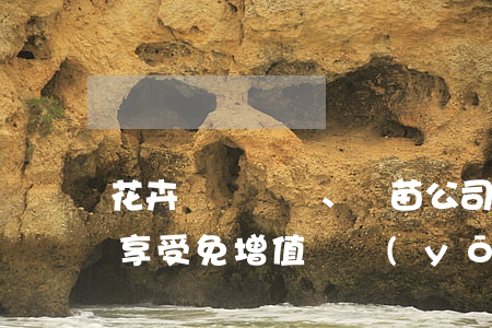 花卉、種苗公司銷售樹苗、花卉能享受免增值稅優(yōu)惠嗎